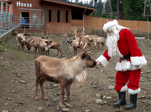 Cougar Mountain Zoo santa reindeer