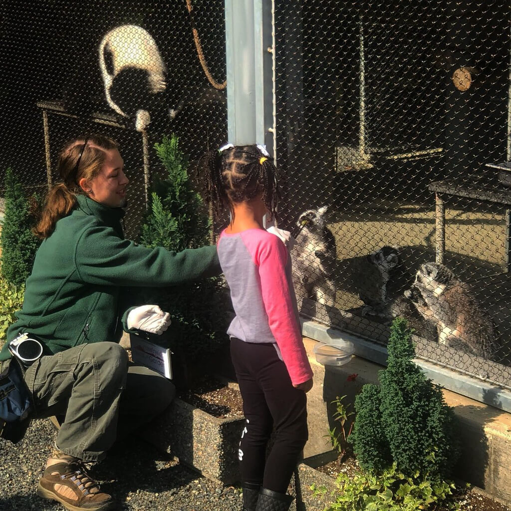 Cougar Mountain Zoo girl with lemur