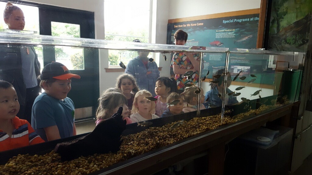 Issaquah Salmon Hatchery kids at aquarium