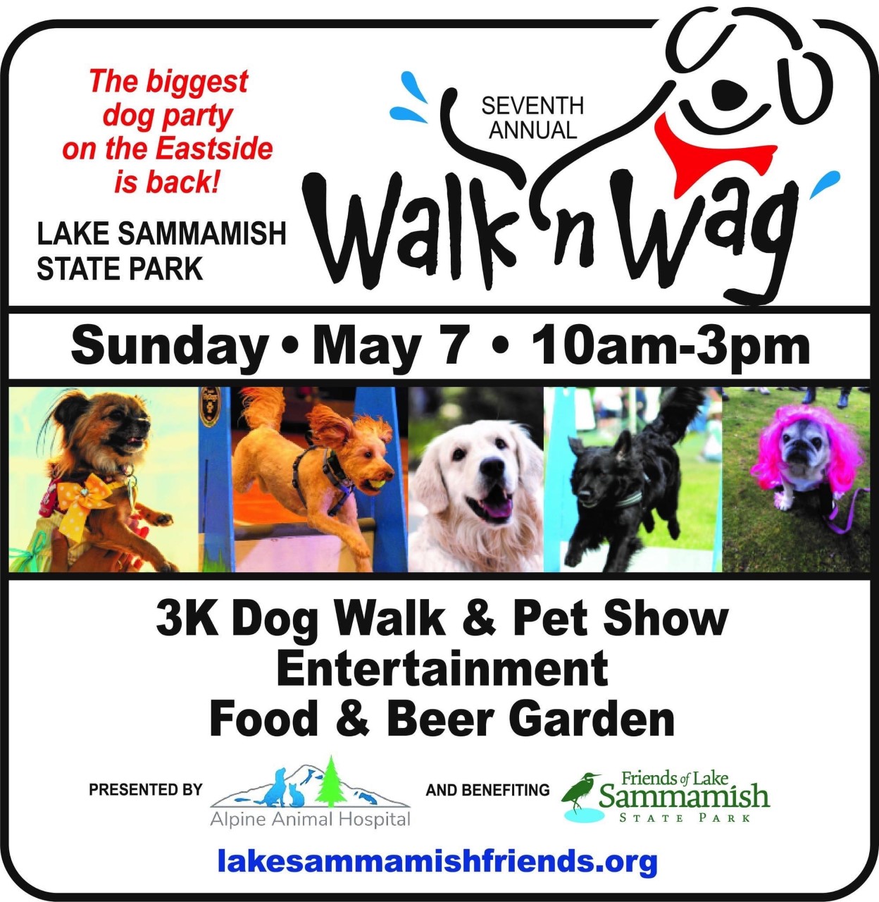 Walk and Wag flyer 2023