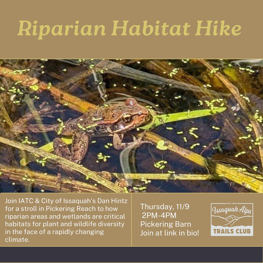 Riparian Habitat Guided Hike by IATC