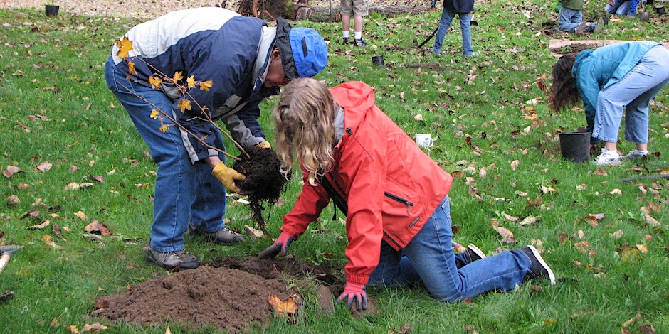 Green Issaquah Planting Party