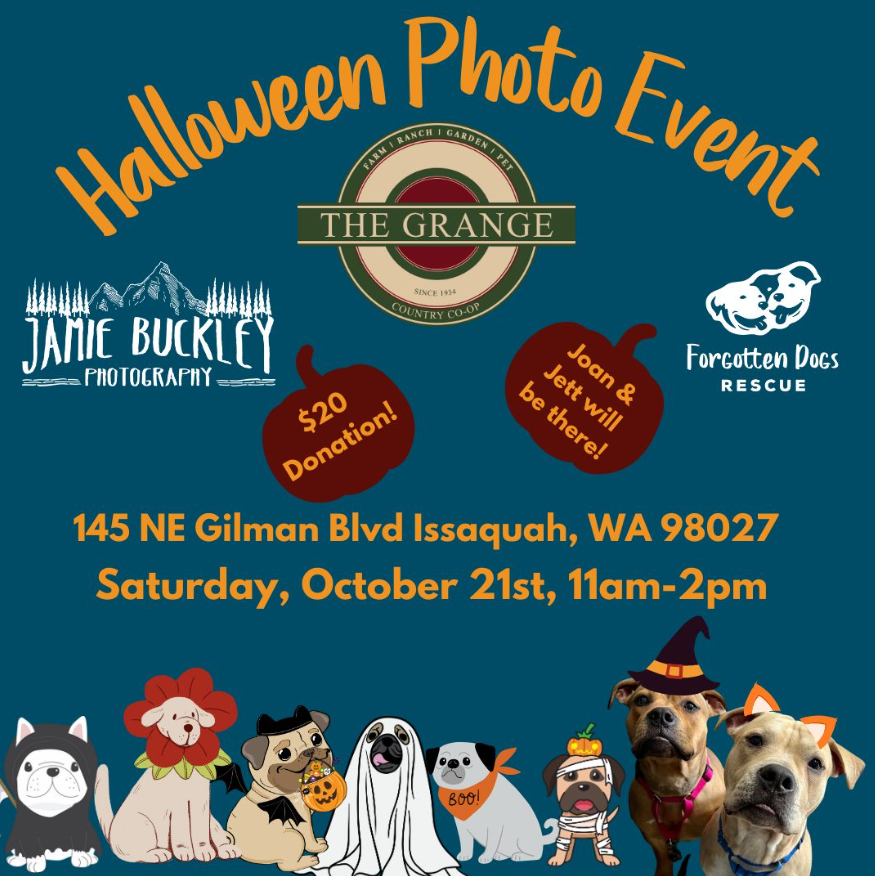 Halloween Pet Photo Event 2023