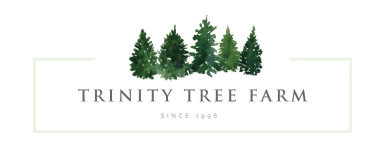 Trinity Tree Farm logo