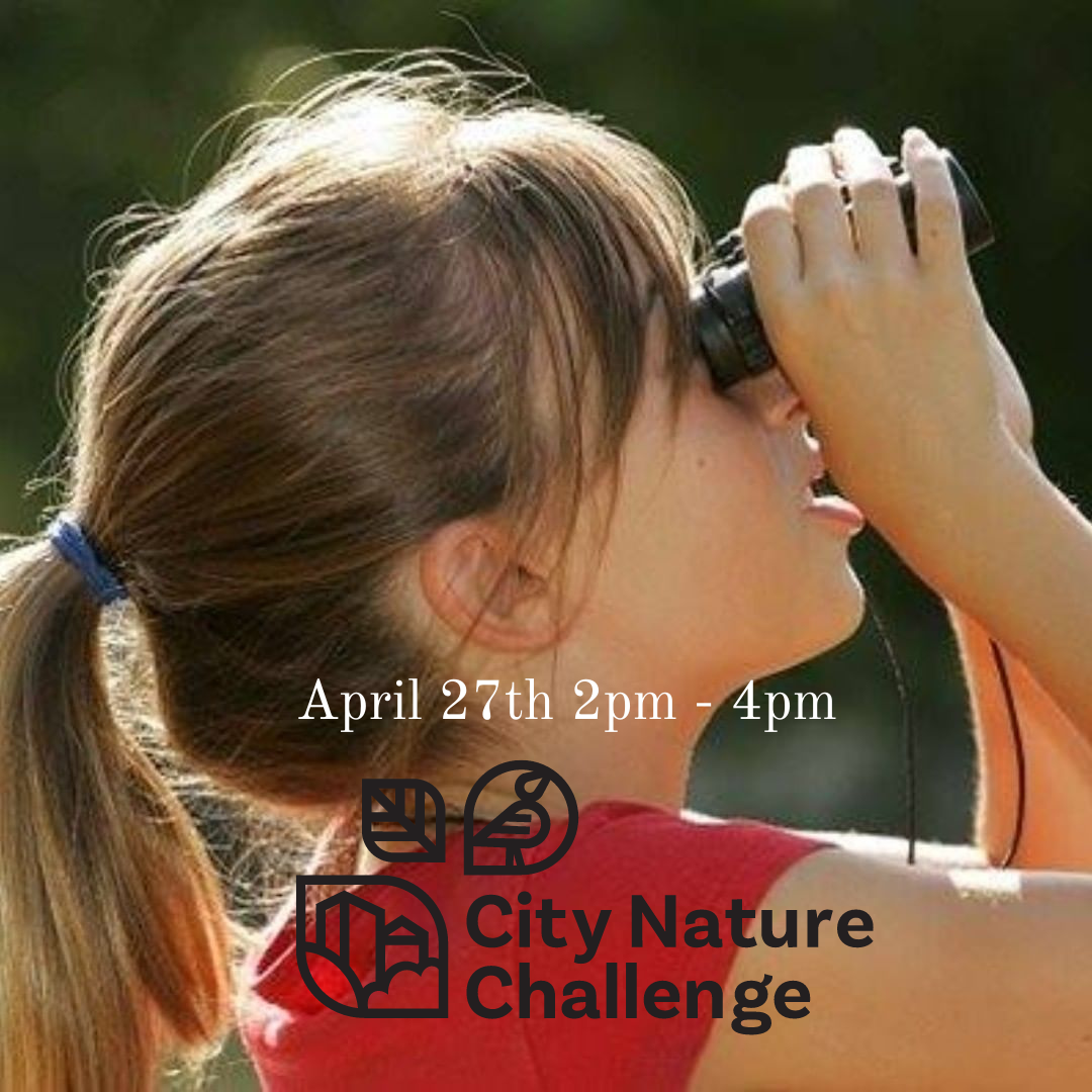 City+Nature+Challenge