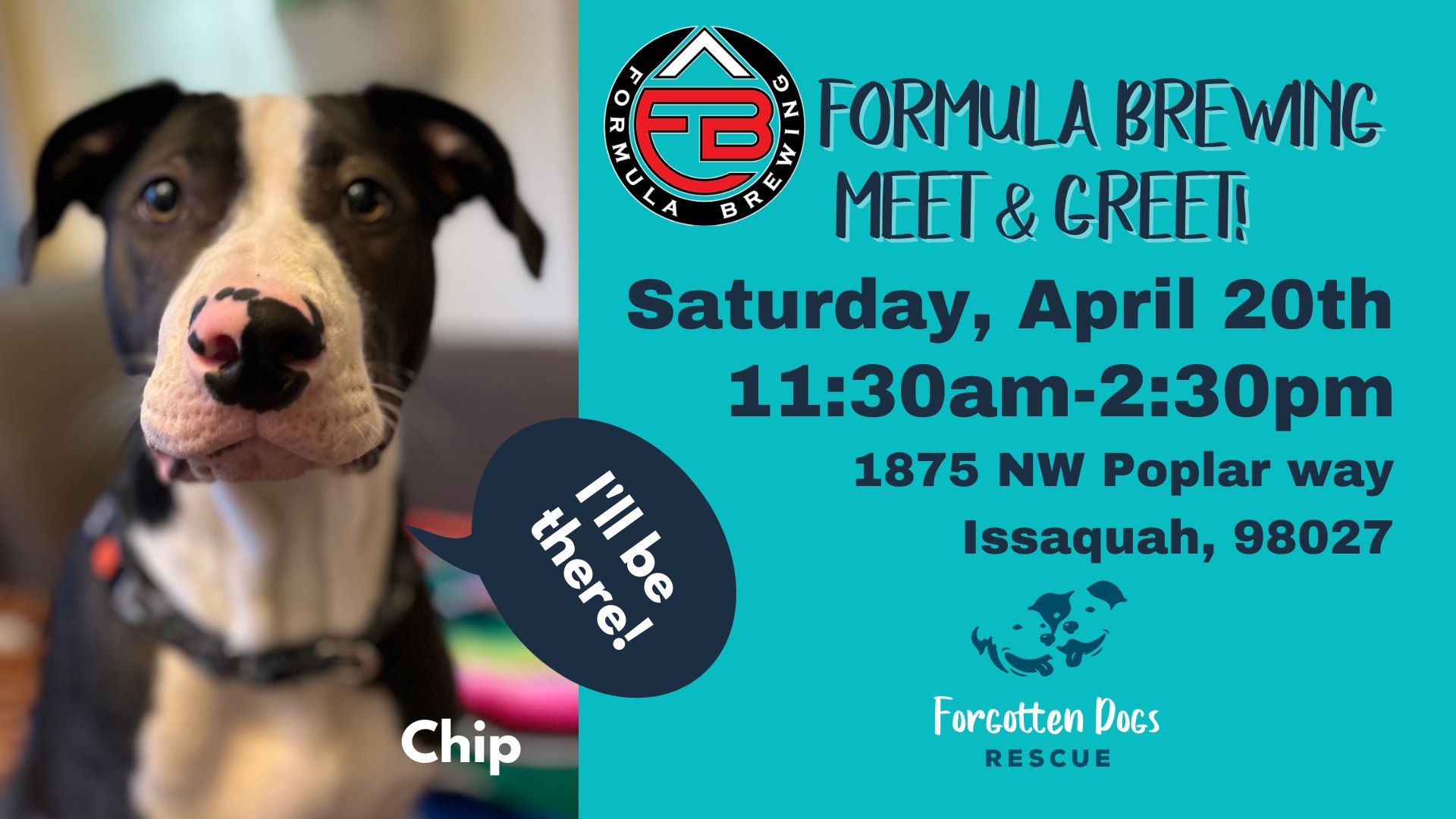 Pup Meet Up at Formula Brewing